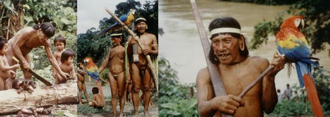 Huaorani 5